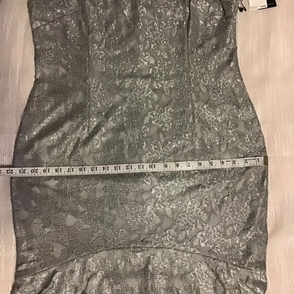 Adrianna Papell silver metallic lace gown dress - Picture 8 of 8